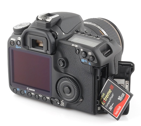 metalen martelen excelleren Canon EOS 50D APS-H Digital SLR Camera (Body Only)